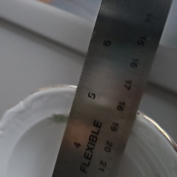 Bareuther Bavaria fruit Bowl  US Zone Germany - Picture 2 of 4